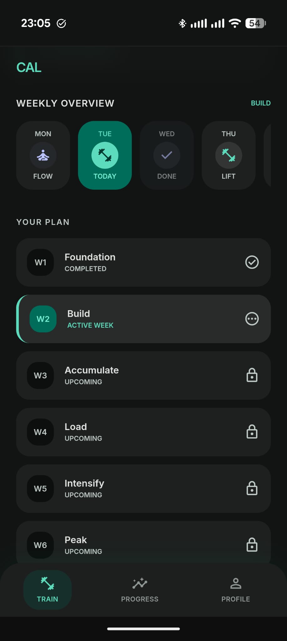 Plan overview